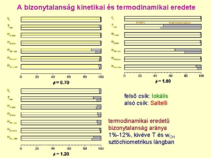 A bizonytalanság kinetikai és termodinamikai eredete kinetic thermodynamic felső csík: lokális alsó csík: Saltelli