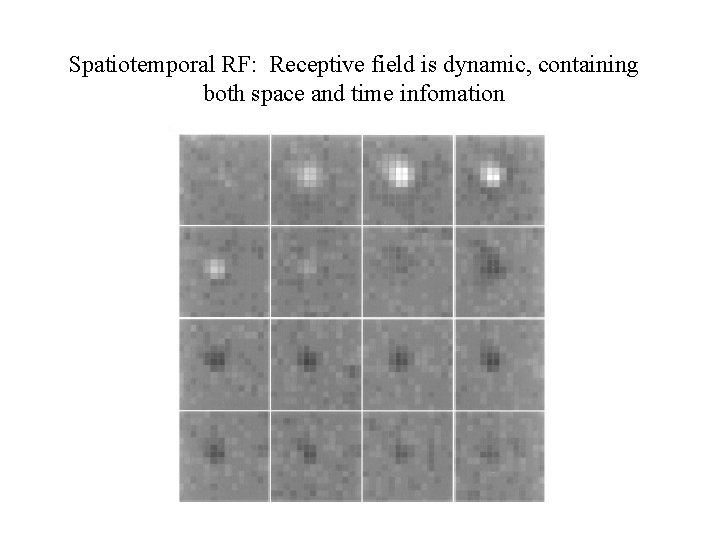 Spatiotemporal RF: Receptive field is dynamic, containing both space and time infomation 