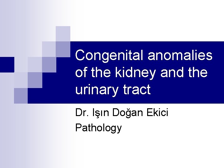 Congenital anomalies of the kidney and the urinary tract Dr. Işın Doğan Ekici Pathology