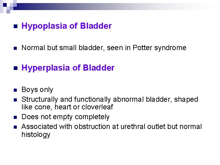 n Hypoplasia of Bladder n Normal but small bladder, seen in Potter syndrome n