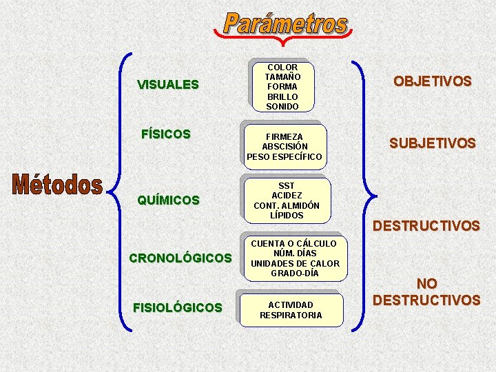 VISUALES FÍSICOS QUÍMICOS CRONOLÓGICOS FISIOLÓGICOS COLOR TAMAÑO FORMA BRILLO SONIDO FIRMEZA ABSCISIÓN PESO ESPECÍFICO