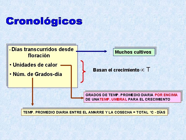  • Días transcurridos desde floración • Unidades de calor • Núm. de Grados-día