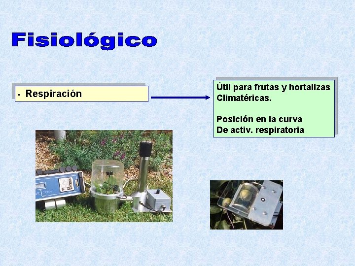  • Respiración Útil para frutas y hortalizas Climatéricas. Posición en la curva De