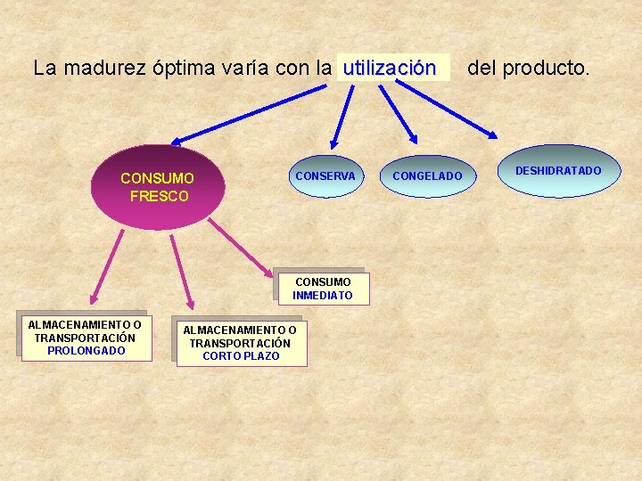 La madurez óptima varía con la utilización CONSUMO FRESCO CONSERVA CONSUMO INMEDIATO ALMACENAMIENTO O