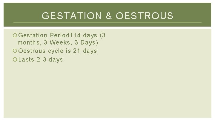 GESTATION & OESTROUS Gestation Period 114 days (3 months, 3 Weeks, 3 Days) Oestrous