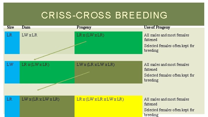 CRISS-CROSS BREEDING Sire Dam Progeny Use of Progeny LR LW x LR LR x