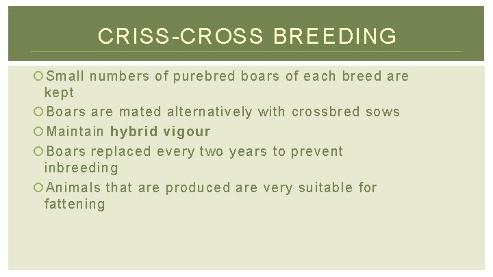 CRISS-CROSS BREEDING Small numbers of purebred boars of each breed are kept Boars are