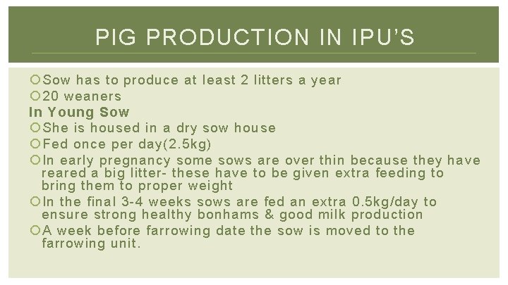 PIG PRODUCTION IN IPU’S Sow has to produce at least 2 litters a year