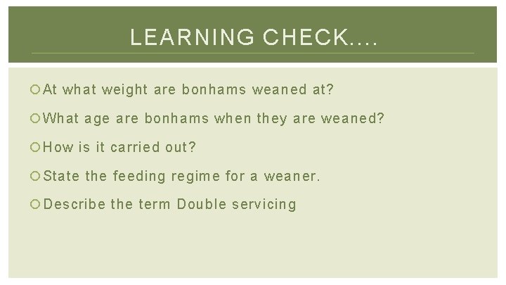 LEARNING CHECK. . At what weight are bonhams weaned at? What age are bonhams