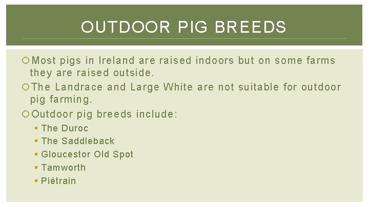 OUTDOOR PIG BREEDS Most pigs in Ireland are raised indoors but on some farms