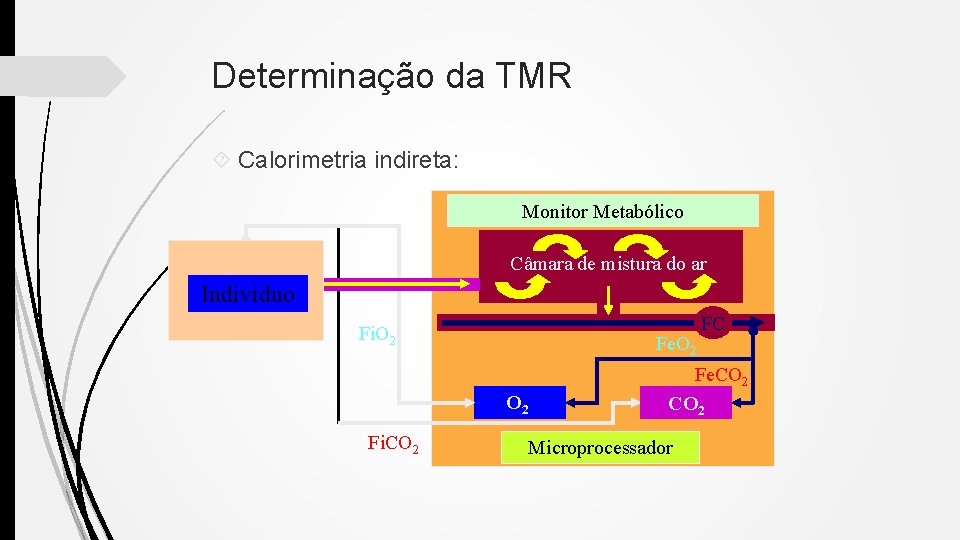 Determinação da TMR Calorimetria indireta: Monitor Metabólico Câmara de mistura do ar Indivíduo Fi.