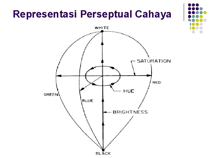 Representasi Perseptual Cahaya Representasi Perseptual Cahaya