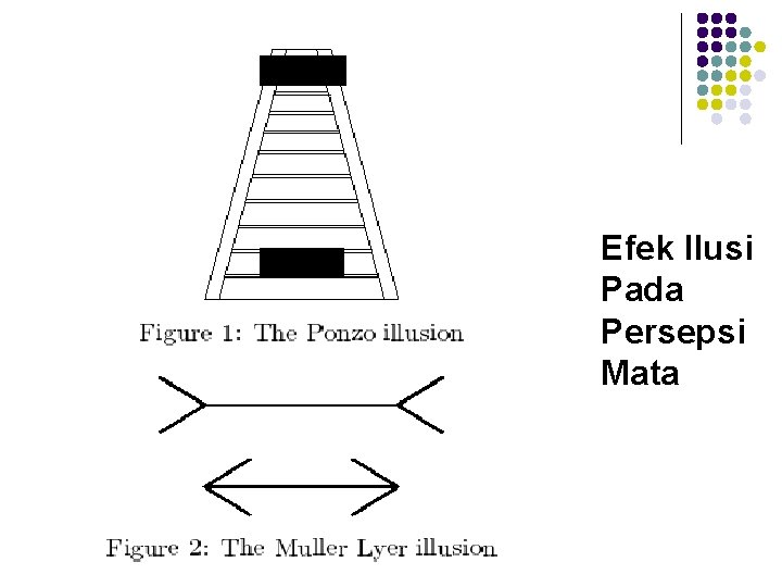 Efek Ilusi Pada Persepsi Mata Efek Ilusi Pada Persepsi Mata