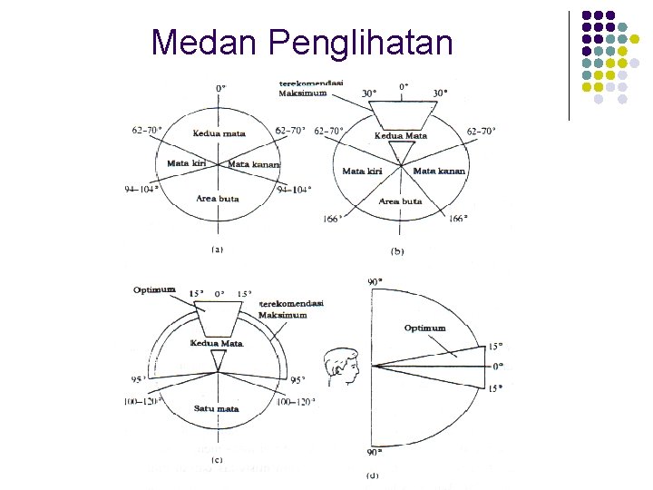 Medan Penglihatan Medan Penglihatan