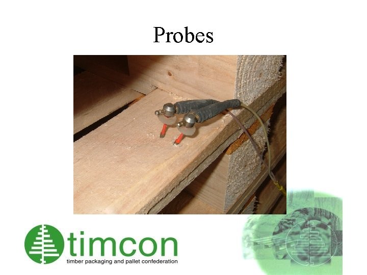 Probes 