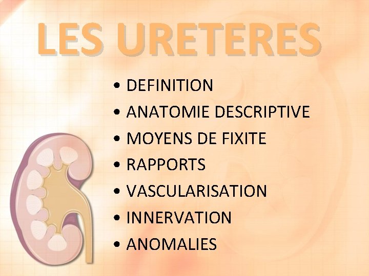 LES URETERES • DEFINITION • ANATOMIE DESCRIPTIVE • MOYENS DE FIXITE • RAPPORTS •