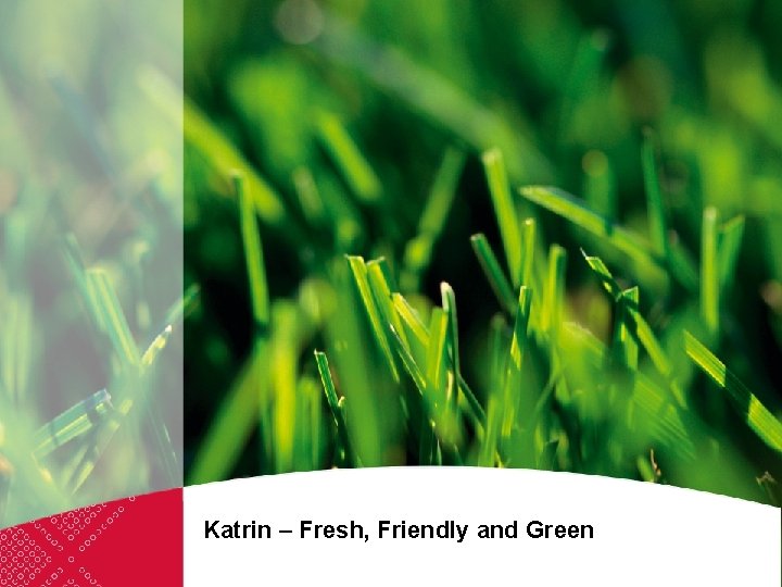 Katrin – Fresh, Friendly and Green 