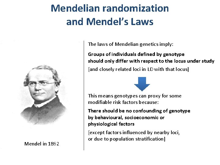 Mendelian randomization and Mendel’s Laws The laws of Mendelian genetics imply: Groups of individuals