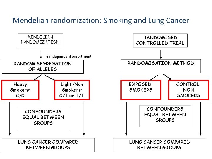 Mendelian randomization: Smoking and Lung Cancer RANDOMISED CONTROLLED TRIAL MENDELIAN RANDOMIZATION + independent assortment