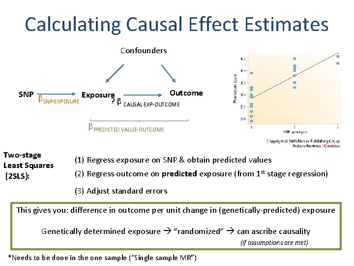 Calculating Causal Effect Estimates Confounders SNP β Exposure SNP-EXPOSURE ? β Outcome CAUSAL EXP-OUTCOME