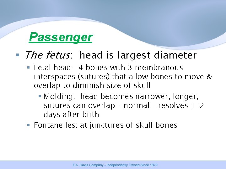 Passenger § The fetus: head is largest diameter § Fetal head: 4 bones with Passenger § The fetus: head is largest diameter § Fetal head: 4 bones with