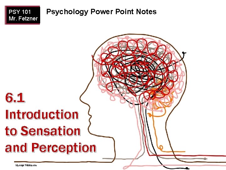PSY 101 Mr. Fetzner Psychology Power Point Notes 6. 1 Introduction to Sensation and