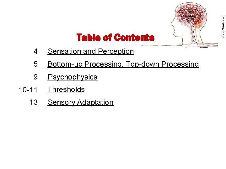 4 Sensation and Perception 5 Bottom-up Processing, Top-down Processing 9 Psychophysics 10 -11 13