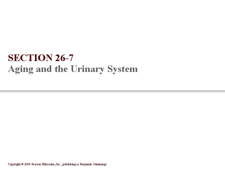 SECTION 26 -7 Aging and the Urinary System Copyright © 2004 Pearson Education, Inc.