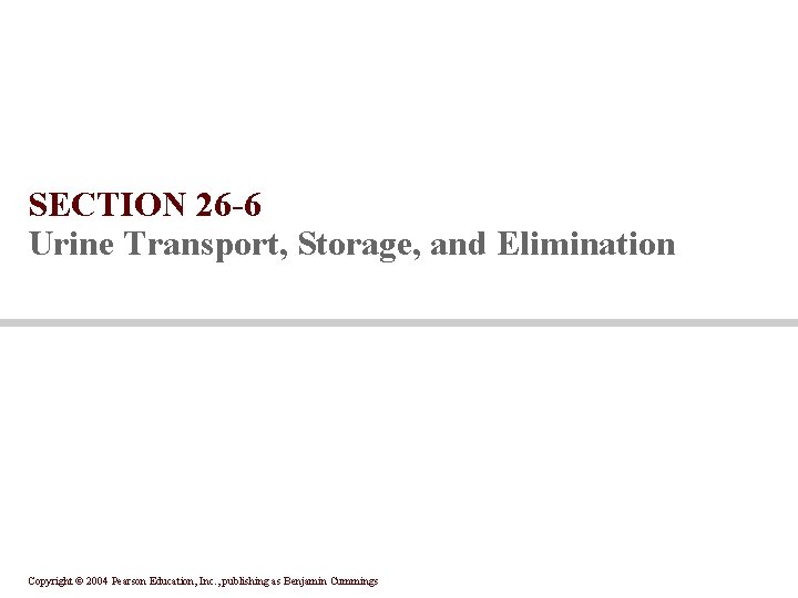 SECTION 26 -6 Urine Transport, Storage, and Elimination Copyright © 2004 Pearson Education, Inc.