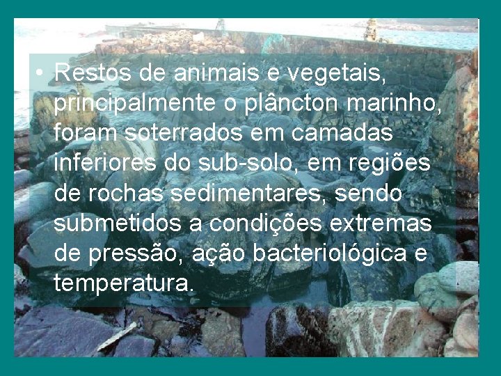  • Restos de animais e vegetais, principalmente o plâncton marinho, foram soterrados em