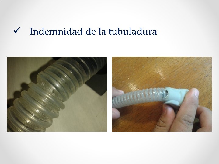 ü Indemnidad de la tubuladura 