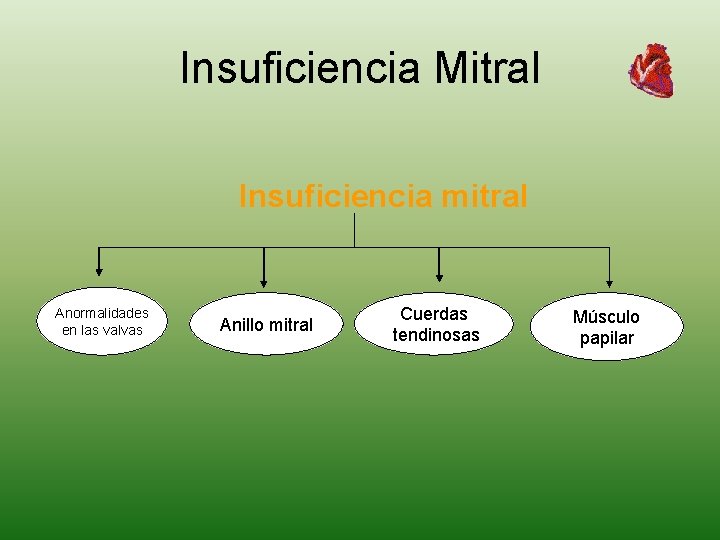 Insuficiencia Mitral Insuficiencia mitral Anormalidades en las valvas Anillo mitral Cuerdas tendinosas Músculo papilar