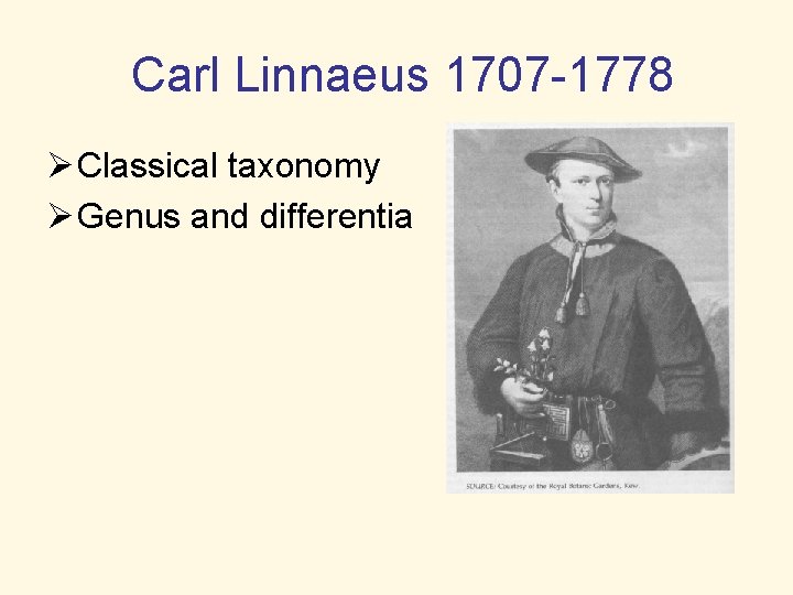 Carl Linnaeus 1707 -1778 Ø Classical taxonomy Ø Genus and differentia 