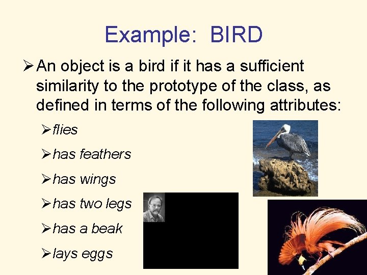 Example: BIRD Ø An object is a bird if it has a sufficient similarity