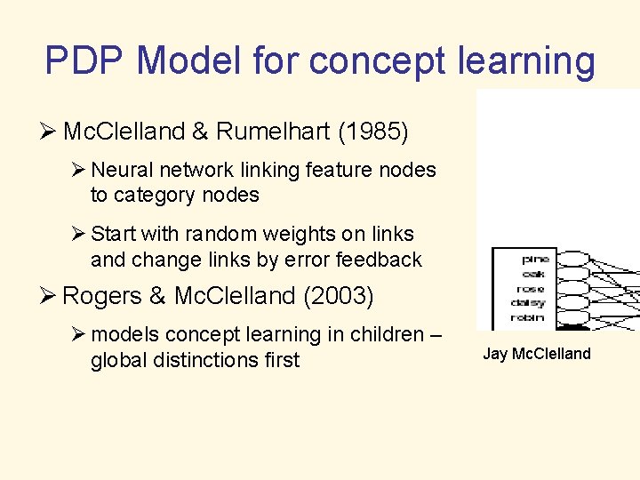 PDP Model for concept learning Ø Mc. Clelland & Rumelhart (1985) Ø Neural network