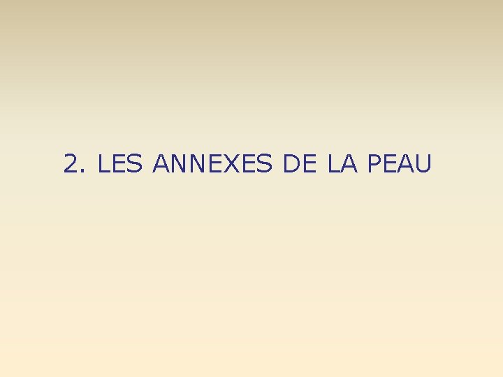 2. LES ANNEXES DE LA PEAU 