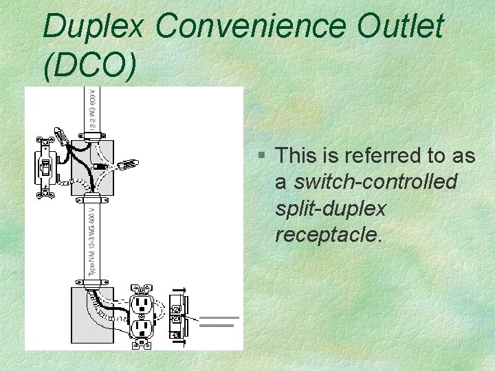 Duplex Convenience Outlet (DCO) § This is referred to as a switch-controlled split-duplex receptacle.