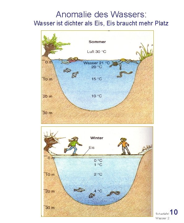 Anomalie des Wassers: Wasser ist dichter als Eis, Eis braucht mehr Platz Schautafel Wasser