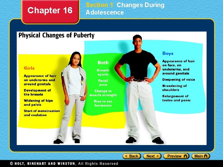 Chapter 16 Section 1 Changes During Adolescence 