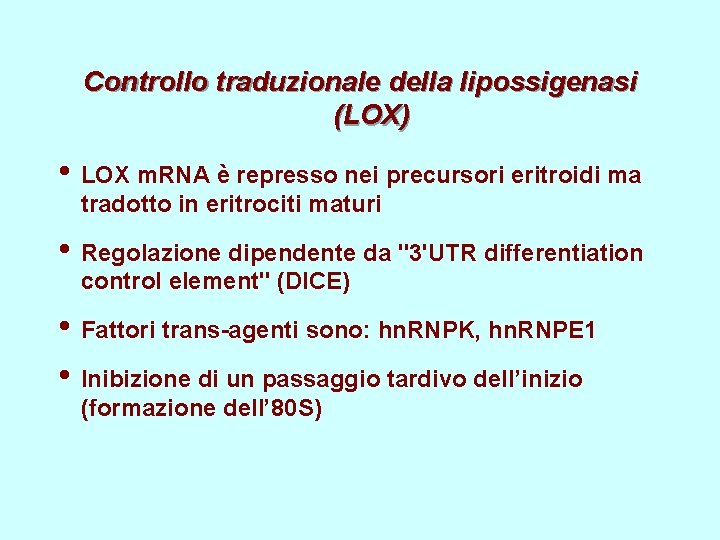Controllo traduzionale della lipossigenasi (LOX) • LOX m. RNA è represso nei precursori eritroidi