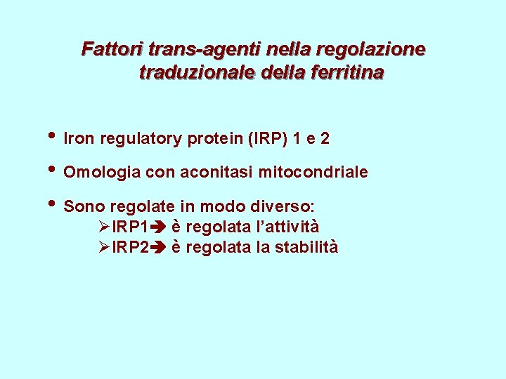 Fattori trans-agenti nella regolazione traduzionale della ferritina • Iron regulatory protein (IRP) 1 e