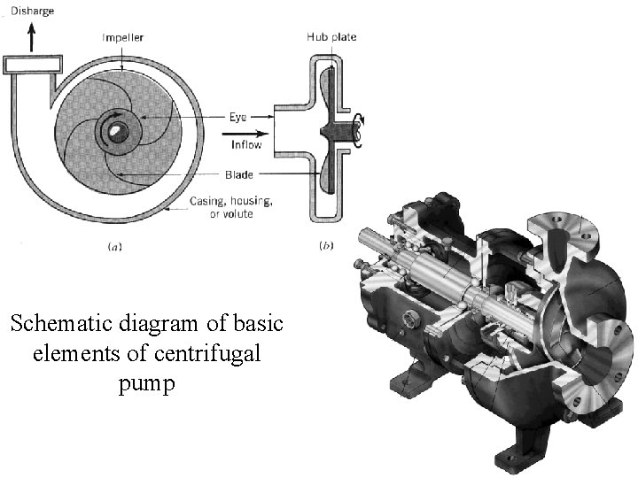 Schematic diagram of basic elements of centrifugal pump 