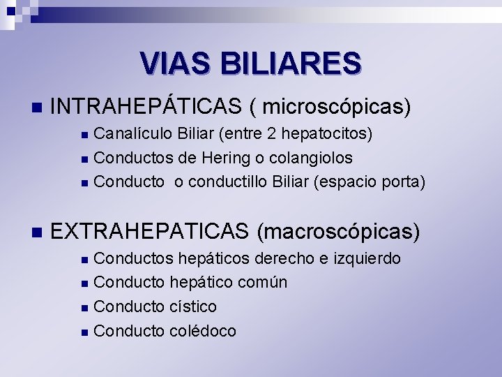 VIAS BILIARES n INTRAHEPÁTICAS ( microscópicas) Canalículo Biliar (entre 2 hepatocitos) n Conductos de