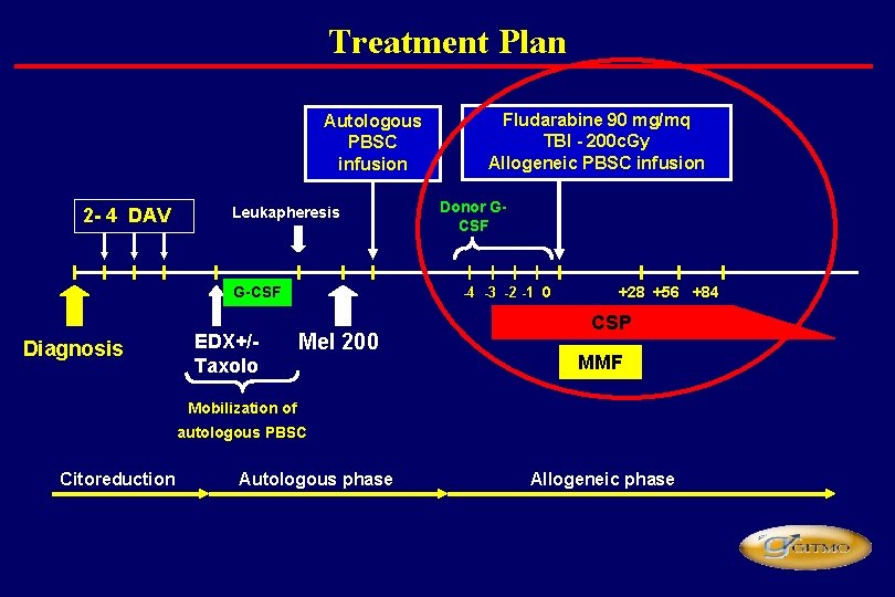 Treatment Plan Autologous PBSC infusion 2 - 4 DAV Leukapheresis G-CSF Diagnosis EDX+/Taxolo Fludarabine Treatment Plan Autologous PBSC infusion 2 - 4 DAV Leukapheresis G-CSF Diagnosis EDX+/Taxolo Fludarabine