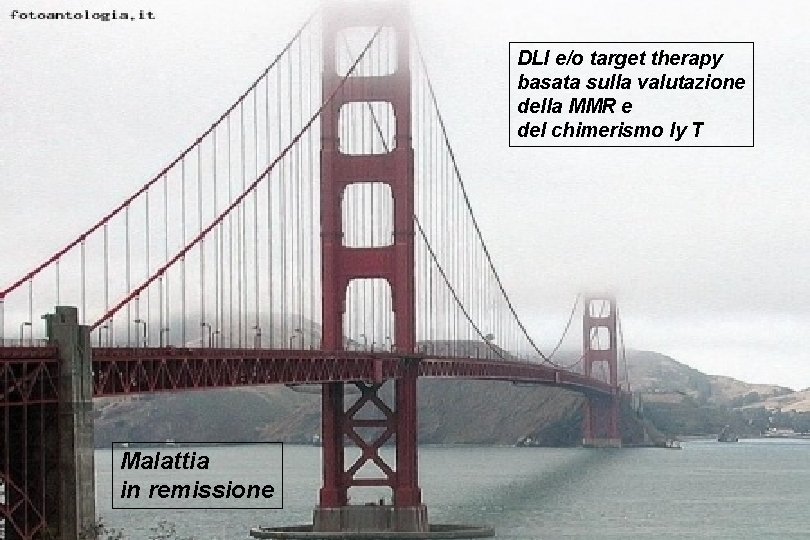 DLI e/o target therapy basata sulla valutazione della MMR e del chimerismo ly T DLI e/o target therapy basata sulla valutazione della MMR e del chimerismo ly T