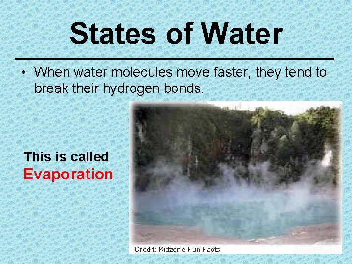 States of Water • When water molecules move faster, they tend to break their