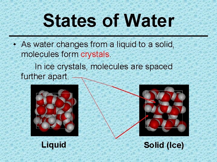 States of Water • As water changes from a liquid to a solid, molecules