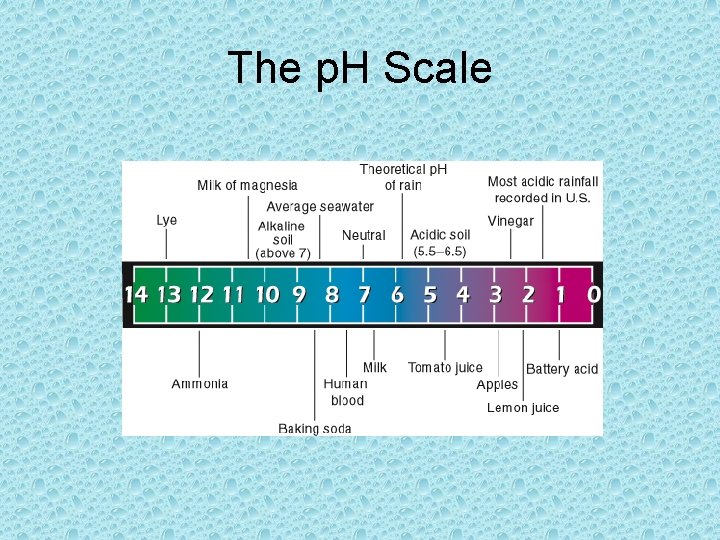 The p. H Scale 