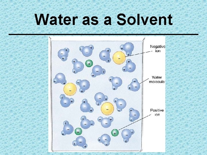 Water as a Solvent 