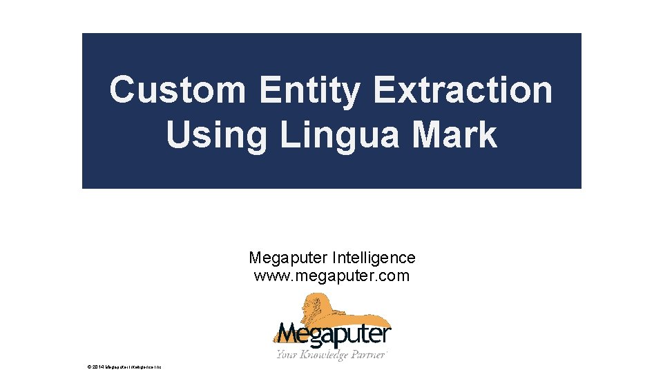 Custom Entity Extraction Poly. Analyst Using Lingua Mark Web Report Training Megaputer Intelligence www.